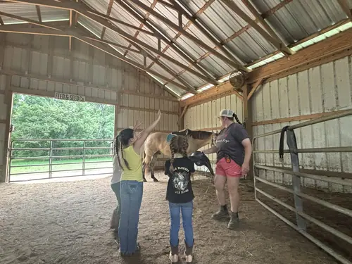 Beginner 1-Day Camp at Horses and Hope, June 18, photo 68