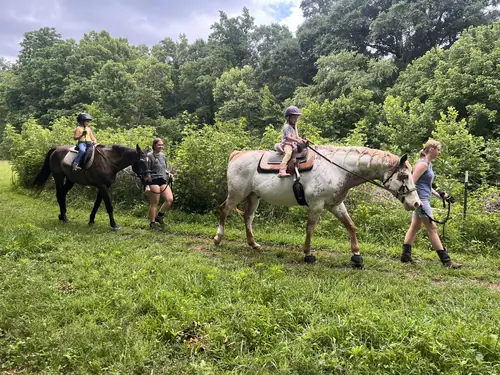Beginner 1-Day Camp at Horses and Hope, June 18, photo 70