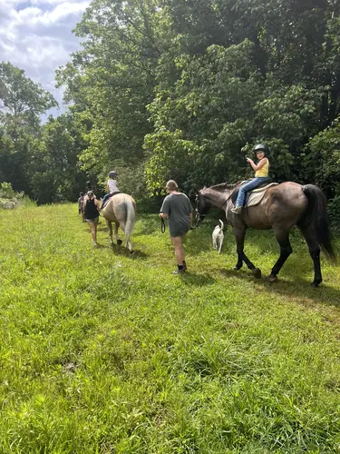 Beginner 1-Day Camp at Horses and Hope, June 18, photo 71