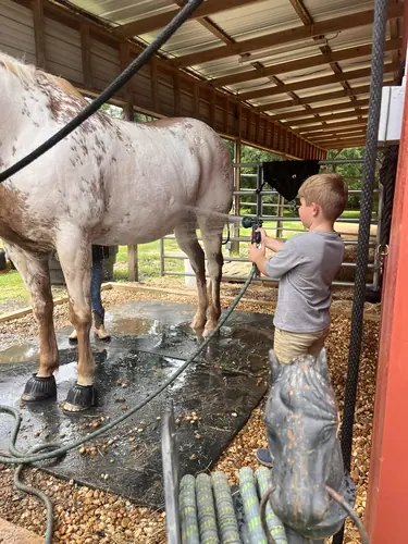 Beginner 1-Day Camp at Horses and Hope, June 18, photo 73