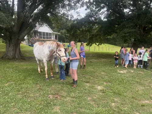 Beginner 1-Day Camp at Horses and Hope, June 18, photo 75