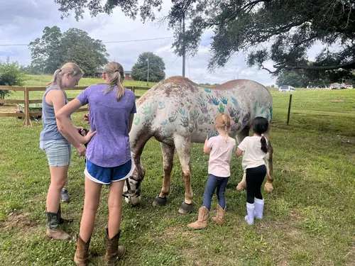 Beginner 1-Day Camp at Horses and Hope, June 18, photo 76