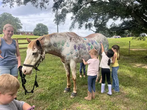 Beginner 1-Day Camp at Horses and Hope, June 18, photo 78