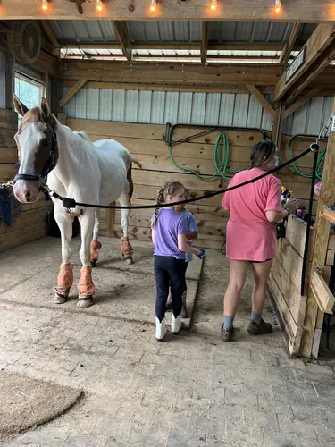 Beginner Camp at Horses and Hope, June 22 to 24, photo 1