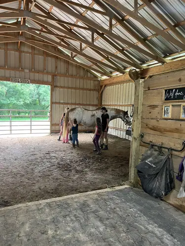 Beginner Camp at Horses and Hope, June 22 to 24, photo 3