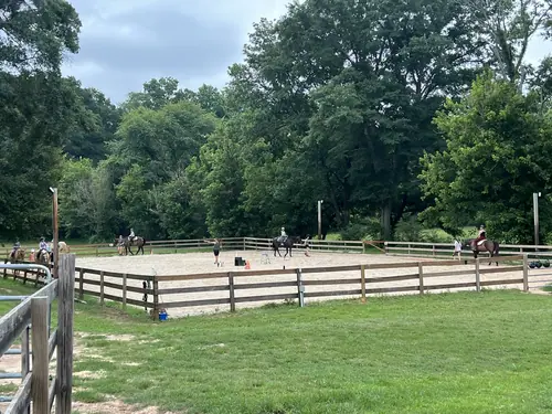 Beginner Camp at Horses and Hope, June 22 to 24, photo 4