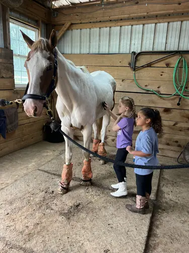 Beginner Camp at Horses and Hope, June 22 to 24, photo 5