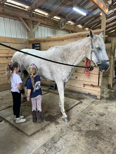 Beginner Camp at Horses and Hope, June 22 to 24, photo 6