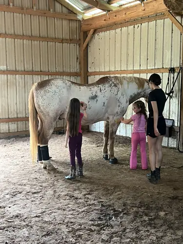 Beginner Camp at Horses and Hope, June 22 to 24, photo 7
