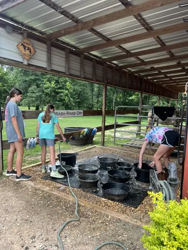 Beginner Camp at Horses and Hope, June 22 to 24, photo 8
