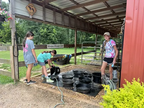 Beginner Camp at Horses and Hope, June 22 to 24, photo 9