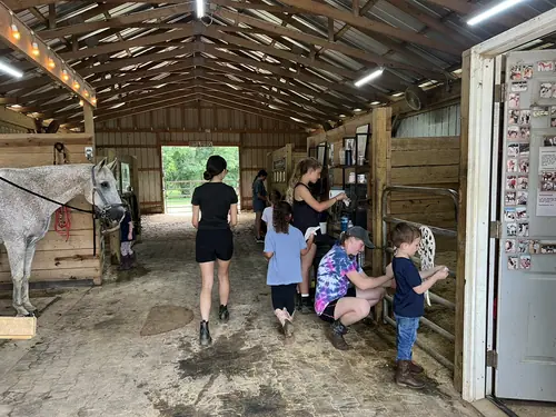 Beginner Camp at Horses and Hope, June 22 to 24, photo 13