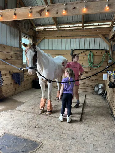 Beginner Camp at Horses and Hope, June 22 to 24, photo 18