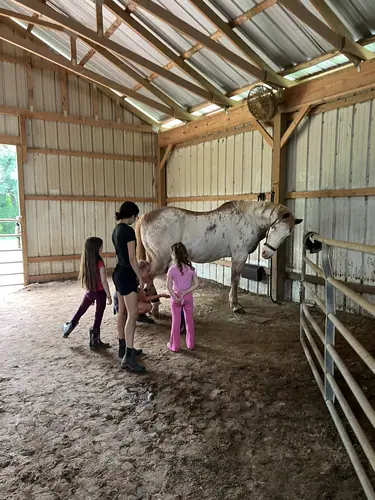 Beginner Camp at Horses and Hope, June 22 to 24, photo 20