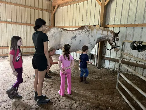 Beginner Camp at Horses and Hope, June 22 to 24, photo 21