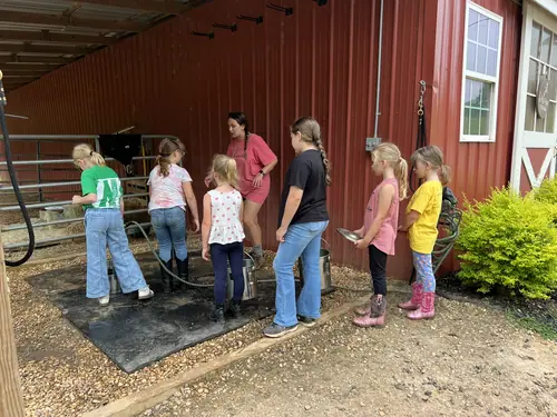 Beginner Camp at Horses and Hope, June 22 to 24, photo 22