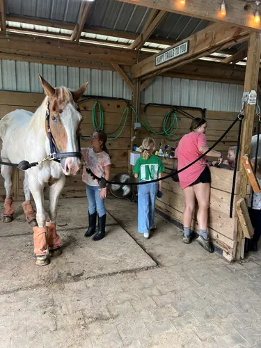 Beginner Camp at Horses and Hope, June 22 to 24, photo 23