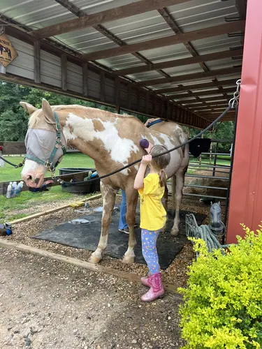 Beginner Camp at Horses and Hope, June 22 to 24, photo 25