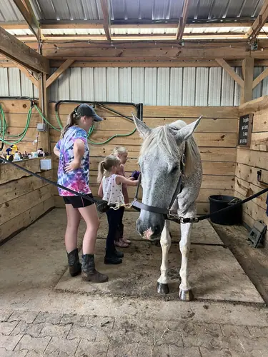 Beginner Camp at Horses and Hope, June 22 to 24, photo 26