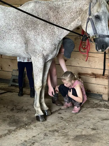 Beginner Camp at Horses and Hope, June 22 to 24, photo 28