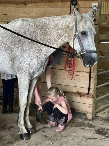 Beginner Camp at Horses and Hope, June 22 to 24, photo 29