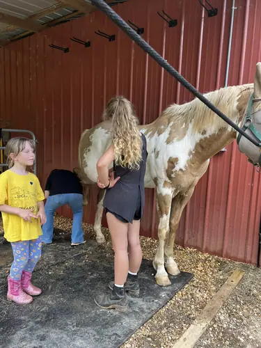 Beginner Camp at Horses and Hope, June 22 to 24, photo 30