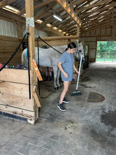 Beginner Camp at Horses and Hope, June 22 to 24, photo 32