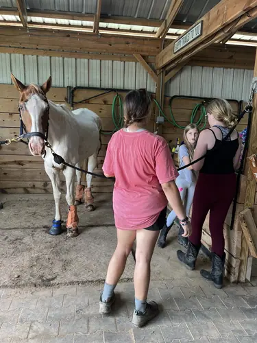 Beginner Camp at Horses and Hope, June 22 to 24, photo 33