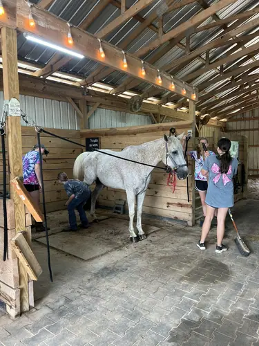 Beginner Camp at Horses and Hope, June 22 to 24, photo 34