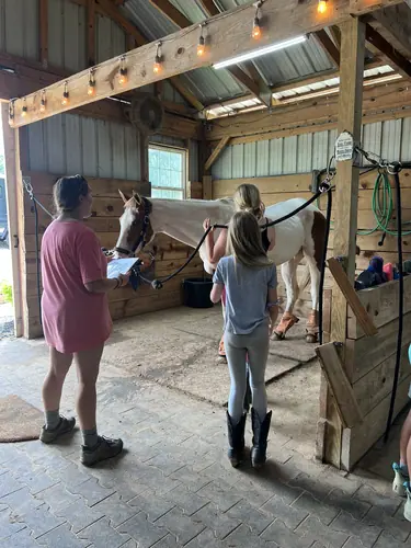 Beginner Camp at Horses and Hope, June 22 to 24, photo 36