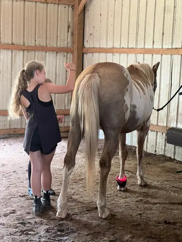 Beginner Camp at Horses and Hope, June 22 to 24, photo 37