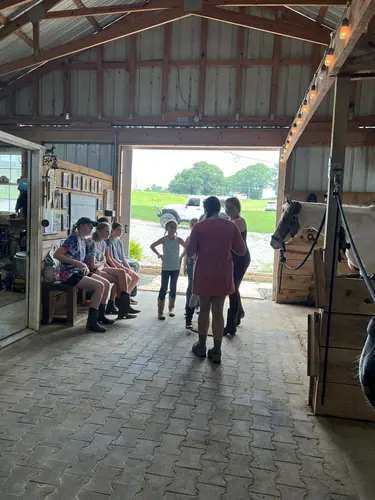 Beginner Camp at Horses and Hope, June 22 to 24, photo 38