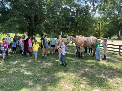 Beginner Camp at Horses and Hope, June 22 to 24, photo 43