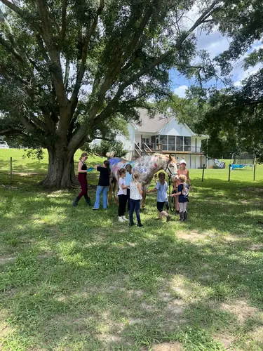 Beginner Camp at Horses and Hope, June 22 to 24, photo 44