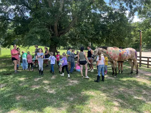 Beginner Camp at Horses and Hope, June 22 to 24, photo 45