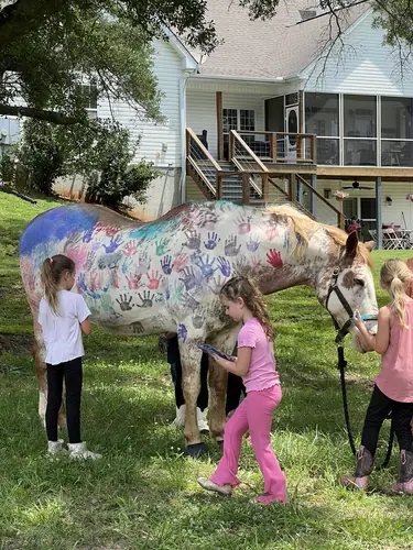 Beginner Camp at Horses and Hope, June 22 to 24, photo 46