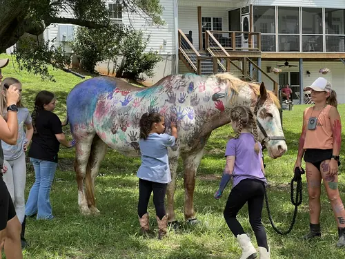 Beginner Camp at Horses and Hope, June 22 to 24, photo 47