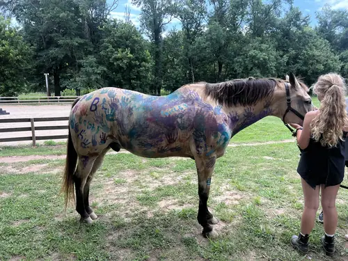 Beginner Camp at Horses and Hope, June 22 to 24, photo 52