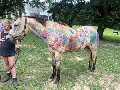 Beginner Camp at Horses and Hope, June 22 to 24, photo 53