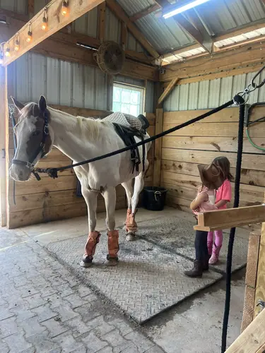 Beginner Camp at Horses and Hope, June 22 to 24, photo 61