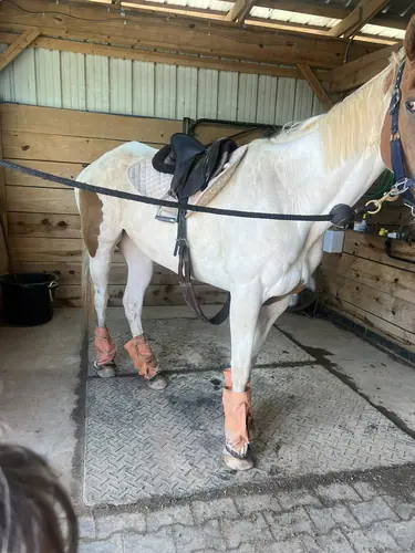 Beginner Camp at Horses and Hope, June 22 to 24, photo 63