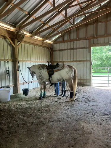 Beginner Camp at Horses and Hope, June 22 to 24, photo 65