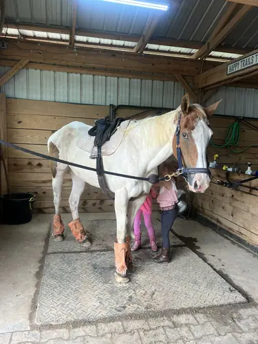 Beginner Camp at Horses and Hope, June 22 to 24, photo 66