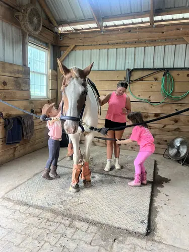 Beginner Camp at Horses and Hope, June 22 to 24, photo 67