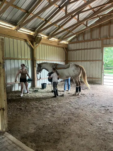 Beginner Camp at Horses and Hope, June 22 to 24, photo 69