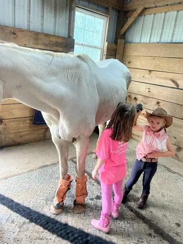 Beginner Camp at Horses and Hope, June 22 to 24, photo 70