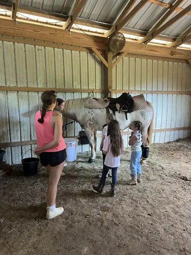 Beginner Camp at Horses and Hope, June 22 to 24, photo 74