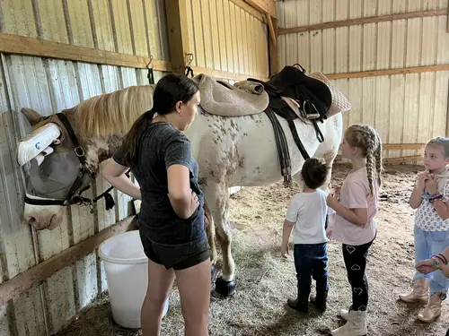Beginner Camp at Horses and Hope, June 22 to 24, photo 75
