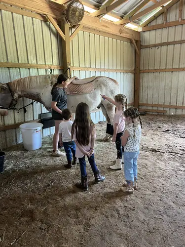 Beginner Camp at Horses and Hope, June 22 to 24, photo 77