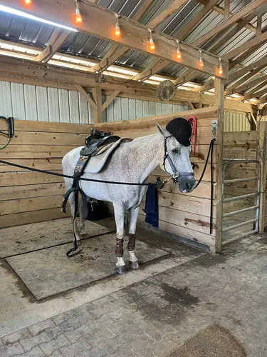 Beginner Camp at Horses and Hope, June 22 to 24, photo 78